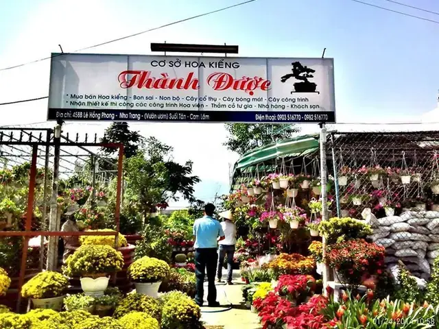 Nhà Hàng Cây Cảnh Nha Trang – Địa Chỉ, Thực Đơn, Giờ Mở Cửa Và Đánh Giá Chi Tiết