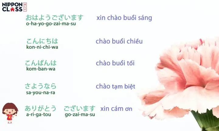 Những Câu Chào Trong Tiếng Nhật: 12 Cách Chào Hỏi Phổ Biến Và Cách Dùng Đúng Tình Huống