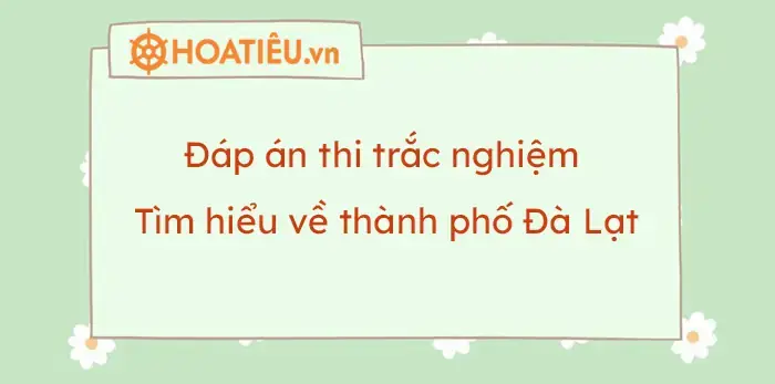 Câu Hỏi Thường Gặp Về Đà Lạt: Đáp Án Chi Tiết Cho Người Yêu Du Lịch