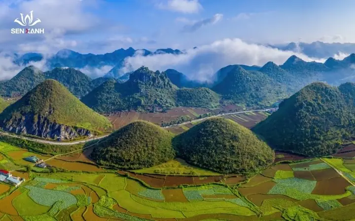 Núi Đôi Cô Tiên Hà Giang: Định Vị, Cách Tới Và Những Trải Nghiệm Không Thể Bỏ Lỡ