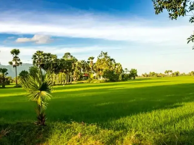 Phong Cảnh Làng Quê Yên Bình: Định Nghĩa, Đặc Điểm & Cách Tận Hưởng Trọn Vị