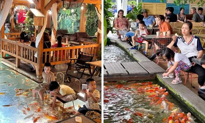 Top 10 Quán Cà Phê Cá Koi Đẹp Nhất Tại Sài Gòn Và Các Thành Phố Lân Cận