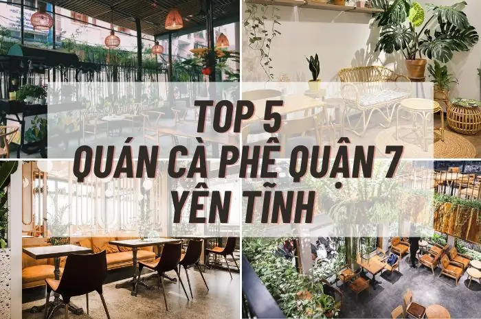 Top 10 Quán Cà Phê Học Bài Yên Tĩnh Ở Quận 7 – Địa Chỉ, Giờ Mở Và Tiện Nghi