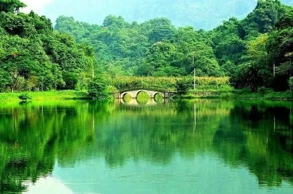 Rừng Cúc Phương Có Gì Chơi? Hướng Dẫn Chi Tiết Những Điểm Tham Quan Và Hoạt Động Không Thể Bỏ Lỡ