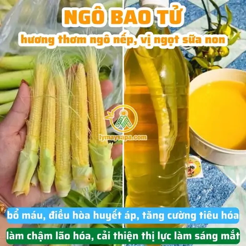 Rượu Ngô Có Thể Ngâm Không? Hướng Dẫn Cách Ngâm Rượu Ngô Đúng Cách Và Lưu Ý Quan Trọng