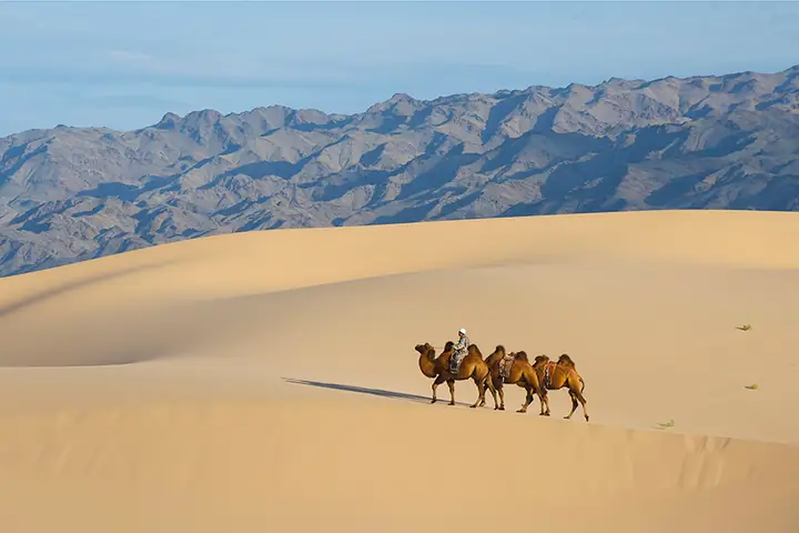 Sa Mạc Gobi Ở Trung Quốc: Địa Lý, Đặc Điểm Tự Nhiên Và Những Điểm Du Lịch Nổi Bật