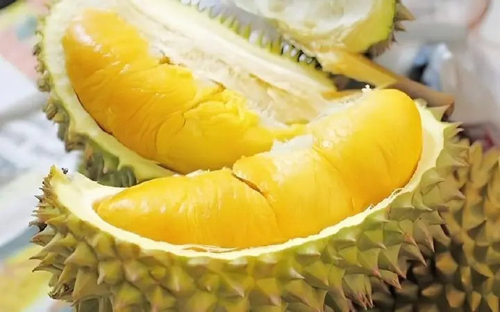 Sầu Riêng Ngon Nhất Miền Nào? Khám Phá Vùng Trồng, Giống Nổi Bật Và Thời Điểm Thưởng Thức