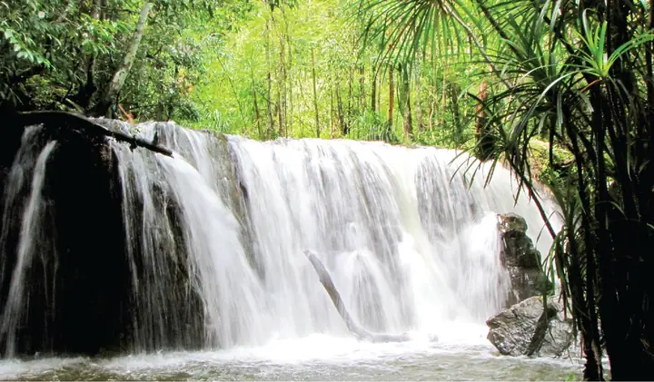 Suối Tranh Phú Quốc: Địa Chỉ, Cách Đi Lại Và Những Thông Tin Cần Biết Cho Du Khách