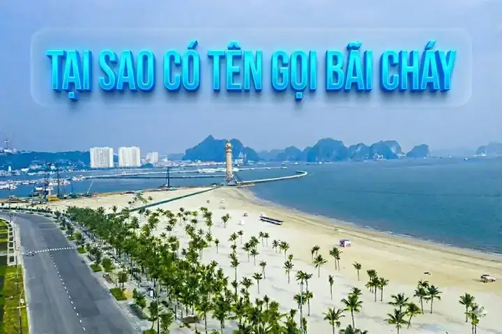 Vì Sao Bãi Cháy Được Đặt Tên Như Vậy? Giải Mã Nguồn Gốc Và Câu Chuyện Lịch Sử