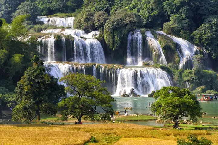 Tháng 10 Nên Đi Du Lịch Miền Bắc Đâu? Top 12 Điểm Đến “mùa Thu Vàng” Cho Du Khách