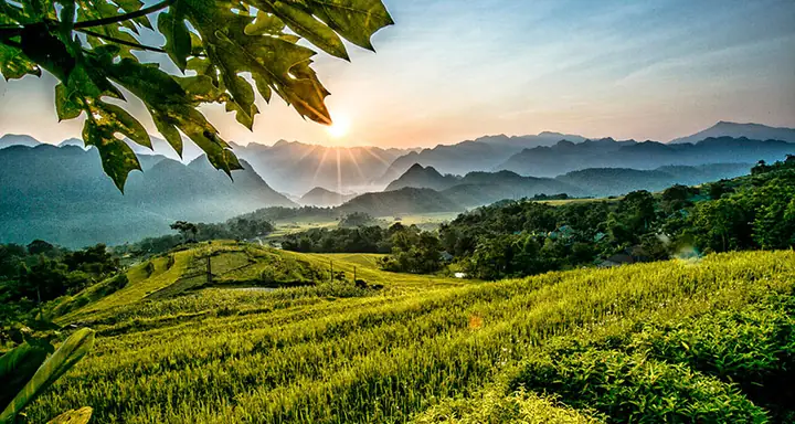 Khám Phá Những Điểm Nổi Tiếng Của Thanh Hóa: Du Lịch, Ẩm Thực Và Di Tích Cần Biết