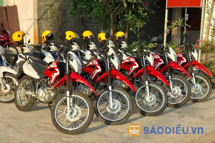 Thuê Xe Cào Cào Đà Lạt: Hướng Dẫn Đặt Xe, Giá Thuê & Các Địa Chỉ Uy Tín