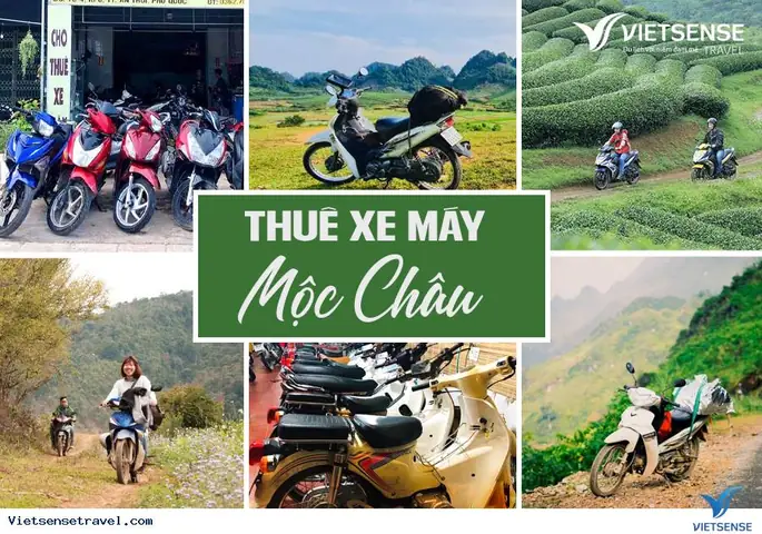Địa Chỉ Thuê Xe Máy Ở Mộc Châu: Giá, Loại Xe Và Mẹo Chọn Cho Du Lịch
