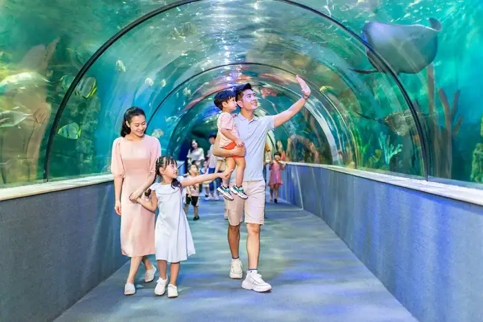 Thủy Cung Times City Ở Đâu? Địa Chỉ, Giờ Mở Cửa, Giá Vé Và Cách Đến