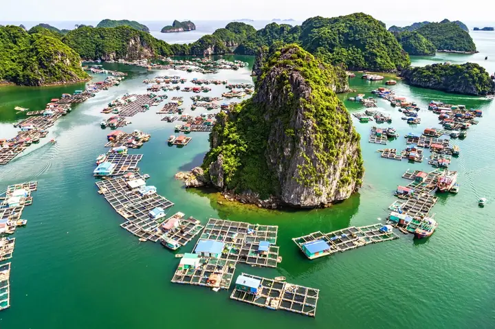Thuyết Minh Về Vịnh Lan Hạ: Địa Lý, Lịch Sử, Sinh Thái Và Những Điểm Tham Quan Nổi Bật