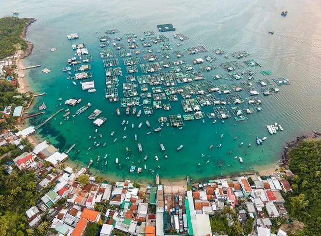 Trải Nghiệm Đảo Trí Nguyên Nha Trang: Hướng Dẫn Du Lịch, Cách Di Chuyển & Điểm Tham Quan Chính