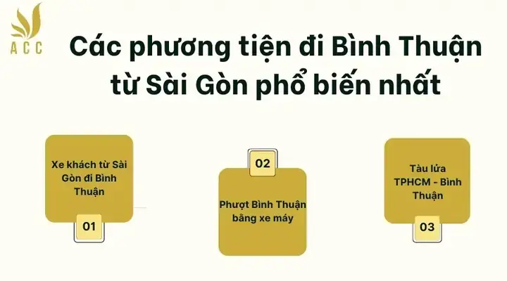 Khoảng Cách Từ Tp.hcm Đến Bình Thuận: Km, Thời Gian Và Cách Di Chuyển Nhanh Nhất