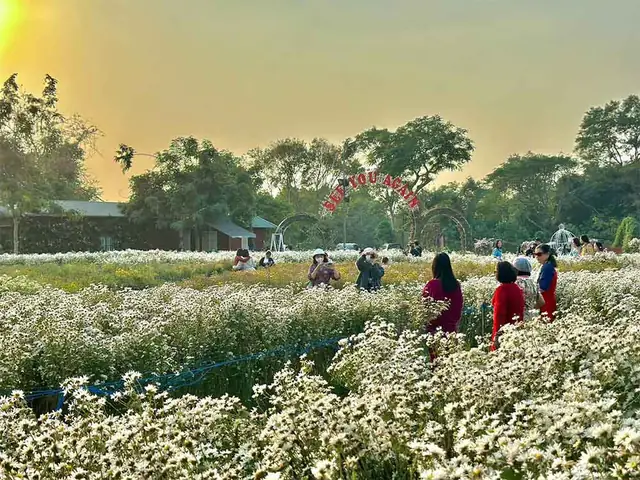 Hướng Dẫn Đầy Đủ Về Vườn Hoa Bãi Đá Sông Hồng: Địa Điểm, Giá Vé, Thời Gian Tham Quan Và Những Điều Cần Biết