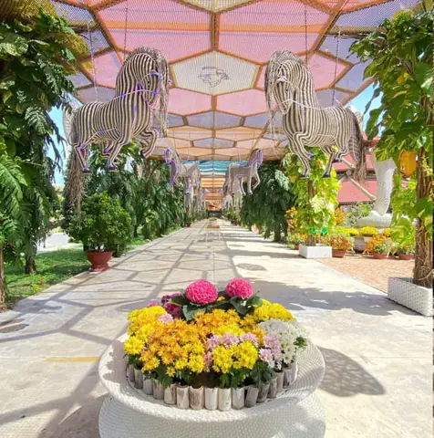 Khám Phá Vường Hoa Trường Sơn Nha Trang: Địa Điểm, Hoạt Động Và Mẹo Du Lịch