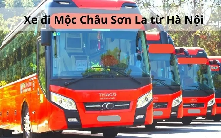 Danh Sách Nhà Xe Uy Tín, Lịch Chạy Và Giá Vé Hà Nội – Mộc Châu 2026