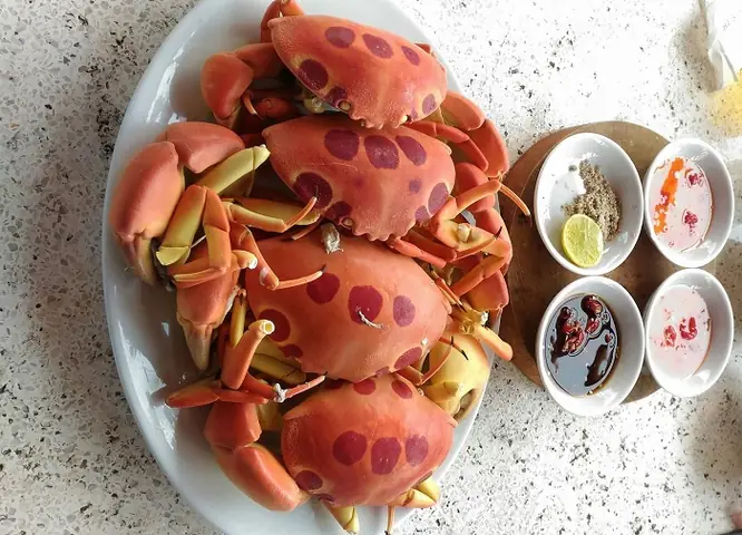 Khám Phá Ăn Chơi Gì Ở Côn Đảo: Các Điểm Đến Và Hoạt Động Vui Chơi Cho Du Khách Tự Túc