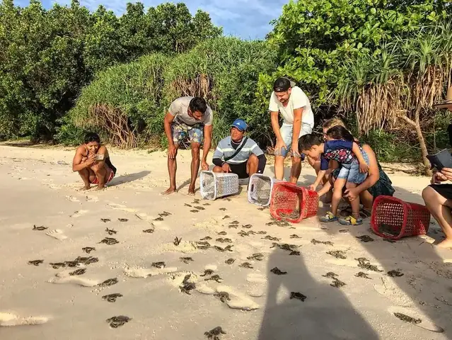 Khám Phá Ăn Chơi Gì Ở Côn Đảo: Các Điểm Đến Và Hoạt Động Vui Chơi Cho Du Khách Tự Túc