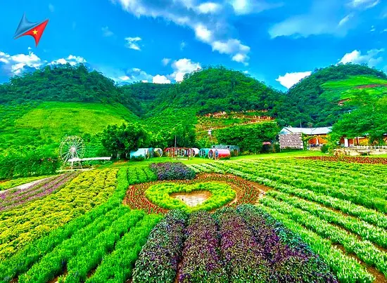 Khám Phá Ảnh Đẹp Mộc Châu Sơn La: Những Địa Điểm Chụp Hình Đẹp Nhất Cho Người Yêu Du Lịch