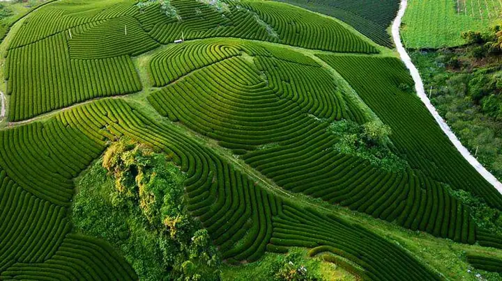 Khám Phá Ảnh Đẹp Mộc Châu Sơn La: Những Địa Điểm Chụp Hình Đẹp Nhất Cho Người Yêu Du Lịch