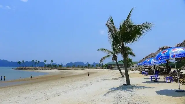 Khám Phá Bãi Biển Tuần Châu Quảng Ninh: Thiên Đường Biển Nhân Tạo Giữa Vịnh Hạ Long