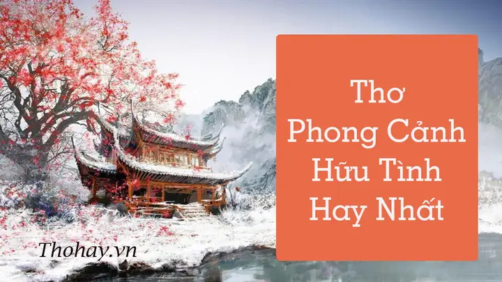 Tổng Hợp Bài Thơ Về Rừng Tràm Trà Sư: Những Thi Phẩm Hay Về Miền Sông Nước