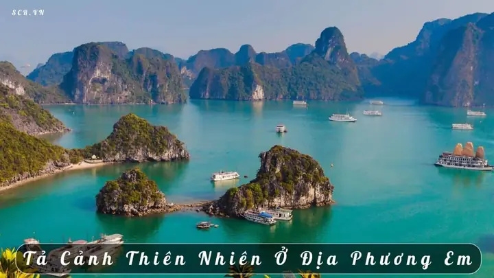 Tuyển Tập Bài Văn Tả Cảnh Tràng An Ninh Bình Cho Học Sinh
