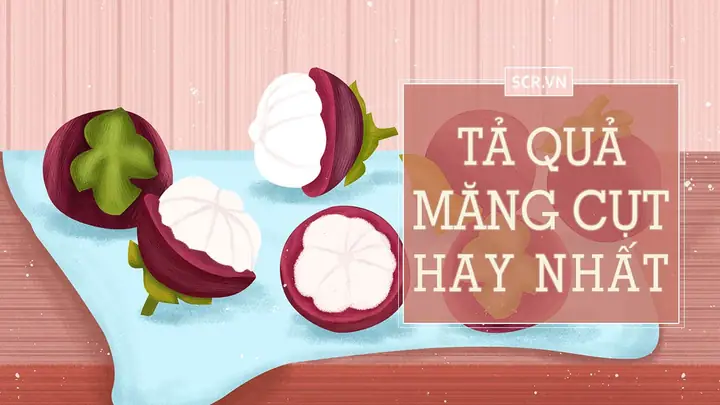 Văn Mẫu Tả Cây Măng Cụt Cho Học Sinh Tiểu Học: Đoạn Văn Và Bài Văn Tham Khảo Văn Mẫu Tả Cây Măng Cụt Cho Học Sinh Tiểu Học: Đoạn Văn Và Bài Văn Tham Khảo