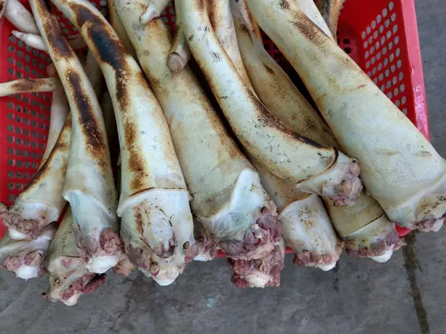 Đuôi Bò Tươi Ở Hà Nội: Nơi Mua, Giá Và Cách Chọn Đúng Cho Bữa Ăn Ngon