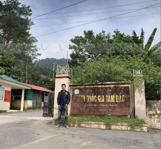 Tìm Hiểu Ban Quản Lý Vườn Quốc Gia Tam Đảo: Đơn Vị Sự Nghiệp, Cơ Quan Chủ Quản Và Thông Tin Liên Hệ Tìm Hiểu Ban Quản Lý Vườn Quốc Gia Tam Đảo: Đơn Vị Sự Nghiệp, Cơ Quan Chủ Quản Và Thông Tin Liên Hệ