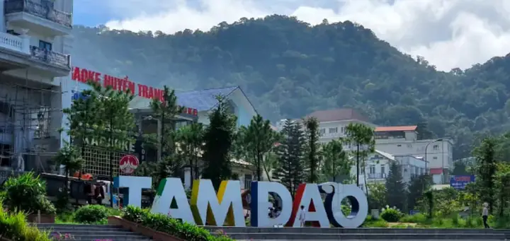 Tìm Hiểu Ban Quản Lý Vườn Quốc Gia Tam Đảo: Đơn Vị Sự Nghiệp, Cơ Quan Chủ Quản Và Thông Tin Liên Hệ Tìm Hiểu Ban Quản Lý Vườn Quốc Gia Tam Đảo: Đơn Vị Sự Nghiệp, Cơ Quan Chủ Quản Và Thông Tin Liên Hệ