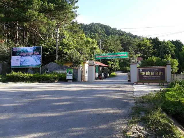Tìm Hiểu Ban Quản Lý Vườn Quốc Gia Tam Đảo: Đơn Vị Sự Nghiệp, Cơ Quan Chủ Quản Và Thông Tin Liên Hệ Tìm Hiểu Ban Quản Lý Vườn Quốc Gia Tam Đảo: Đơn Vị Sự Nghiệp, Cơ Quan Chủ Quản Và Thông Tin Liên Hệ