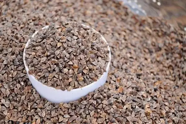 Bánh Tam Giác Mạch Làm Từ Gì? Giải Đáp Nguyên Liệu Và Nguồn Gốc Hạt Tam Giác Mạch