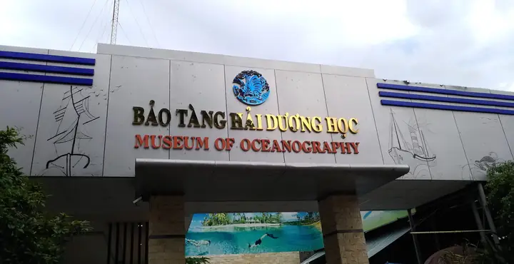 Khám Phá Bảo Tàng Hải Dương Học Vũng Tàu: Địa Chỉ, Trưng Bày Và Có Đáng Đi Không?