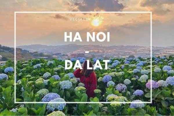 Cập Nhật Thời Gian Bay Từ Hà Nội Đến Đà Lạt Mất Bao Lâu Cho Hành Khách Chuẩn Bị Đặt Vé