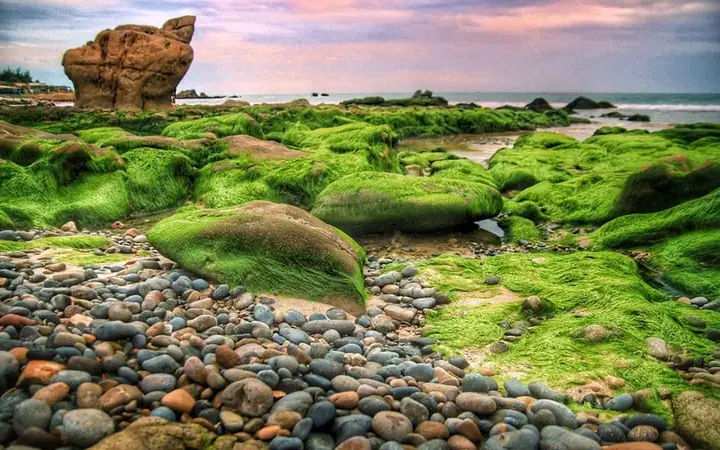 Xác Định Vị Trí Biển Cổ Thạch Và Hướng Dẫn Di Chuyển Từ Phan Thiết Cho Du Khách Xác Định Vị Trí Biển Cổ Thạch Và Hướng Dẫn Di Chuyển Từ Phan Thiết Cho Du Khách