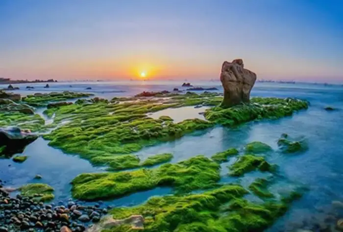 Xác Định Vị Trí Biển Cổ Thạch Và Hướng Dẫn Di Chuyển Từ Phan Thiết Cho Du Khách Xác Định Vị Trí Biển Cổ Thạch Và Hướng Dẫn Di Chuyển Từ Phan Thiết Cho Du Khách