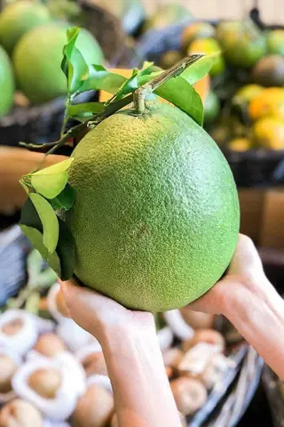 Bưởi Da Xanh Ngon Nhất Ở Đâu? Địa Chỉ Mua, Tiêu Chí Chọn Và Mẹo Bảo Quản Bưởi Da Xanh Ngon Nhất Ở Đâu? Địa Chỉ Mua, Tiêu Chí Chọn Và Mẹo Bảo Quản