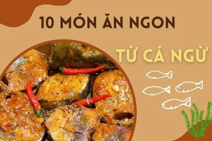 Gợi Ý 15 Món Ngon Từ Cá Ngừ Đại Dương Dễ Làm Tại Nhà Cho Người Nội Trợ