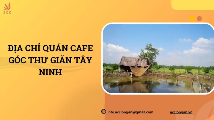 Khám Phá Cà Phê Góc Thư Giãn Tây Ninh: Địa Chỉ, Menu Và Không Gian Sinh Thái Cho Thực Khách Khám Phá Cà Phê Góc Thư Giãn Tây Ninh: Địa Chỉ, Menu Và Không Gian Sinh Thái Cho Thực Khách