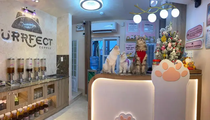 Tổng Hợp Các Quán Cà Phê Thú Cưng Ở Sài Gòn Cho Tín Đồ Yêu Động Vật: Địa Chỉ, Giá Và Không Gian Chill Tổng Hợp Các Quán Cà Phê Thú Cưng Ở Sài Gòn Cho Tín Đồ Yêu Động Vật: Địa Chỉ, Giá Và Không Gian Chill