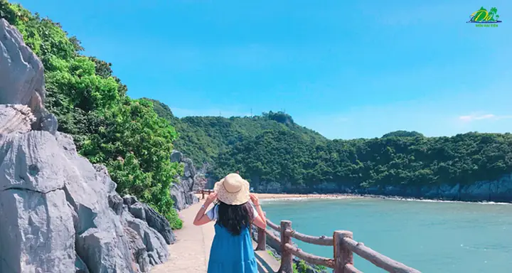 Tổng Hợp Các Bãi Biển Đẹp Miền Bắc Cho Chuyến Đi Hè Từ Hà Nội Tổng Hợp Các Bãi Biển Đẹp Miền Bắc Cho Chuyến Đi Hè Từ Hà Nội