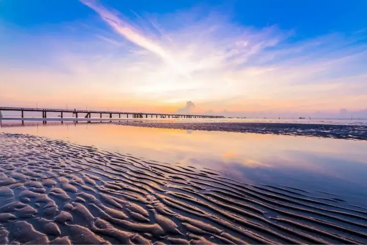 Khám Phá Các Bãi Biển Ở Tiền Giang: Biển Tân Thành Và Trải Nghiệm Gò Công Đông