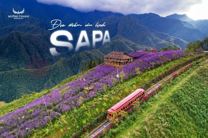 Khám Phá Các Điểm Du Lịch Ở Sapa: Top Địa Điểm Hấp Dẫn Cho Người Lần Đầu Đến Xứ Sở Mù Sương