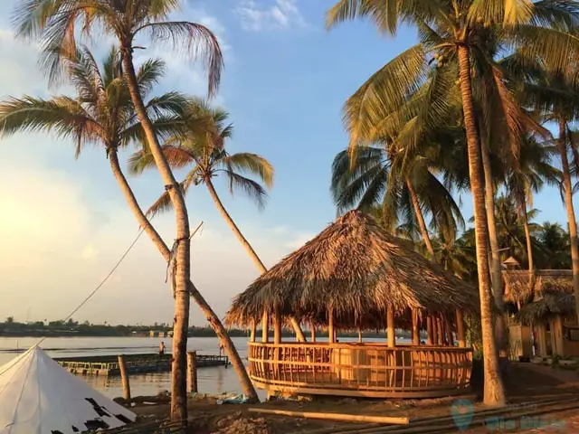 Khám Phá Các Điểm Du Lịch Tỉnh Bến Tre: Top Địa Điểm Nổi Bật Cho Du Khách