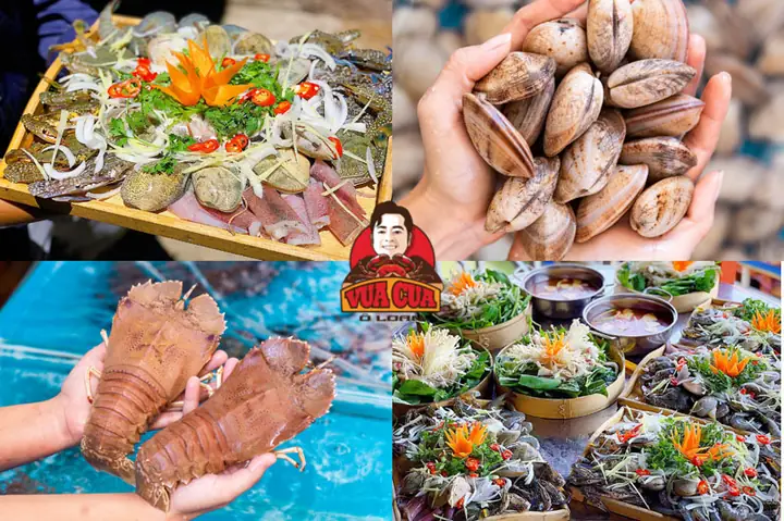 Khám Phá Các Loại Hải Sản Phú Yên Và Những Quán Ngon Nhất Định Phải Ghé